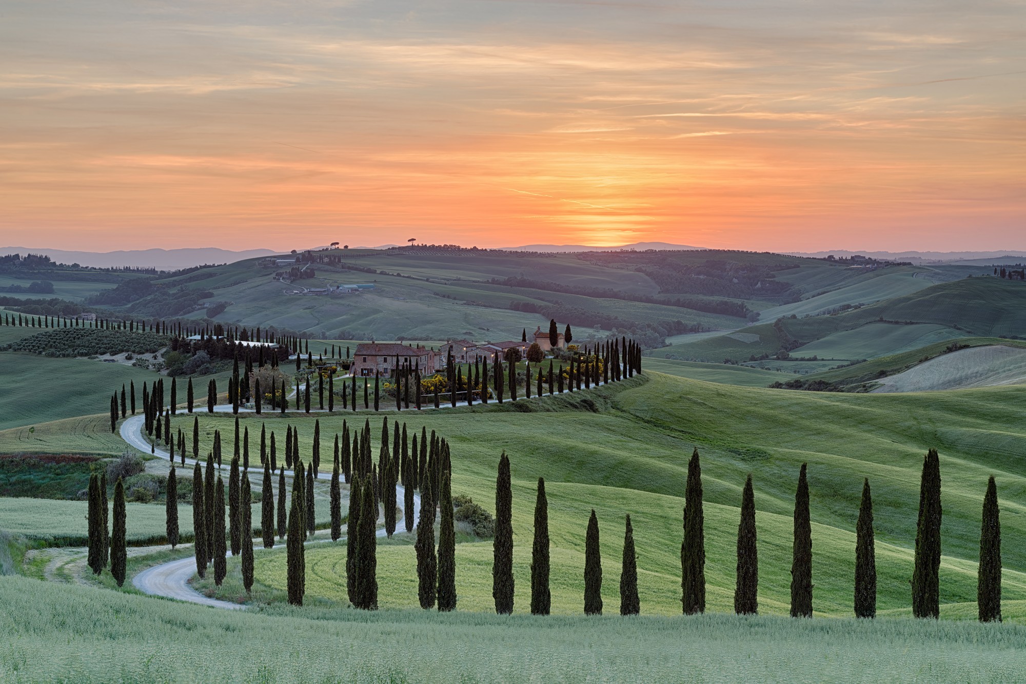 A cypress-lined lane winding through the hills of Asciano, Tuscany, at sunset
